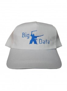 Бейсболка Big Data